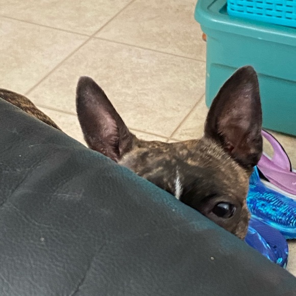 Meet your Posher, Kate - Picture 4 of 16